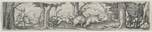 Boar Hunt