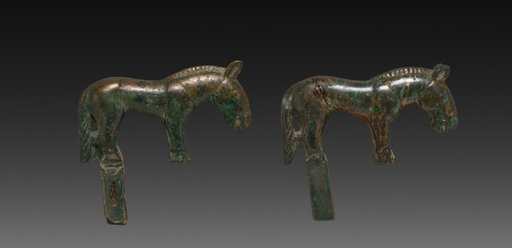 Pair of Wild Horses