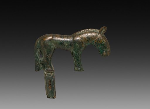 Wild Horse