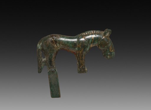 Wild Horse