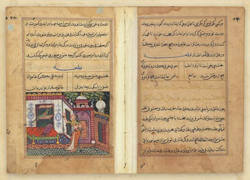 Tuti-Nama (Tales of a Parrot)