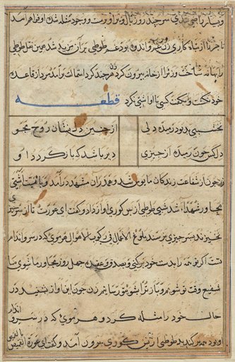 Page from Tales of a Parrot (Tuti-nama): text page