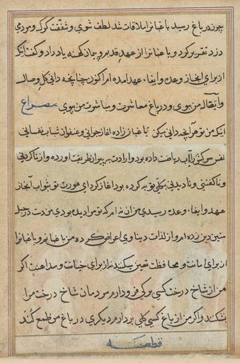 Page from Tales of a Parrot (Tuti-nama): text page