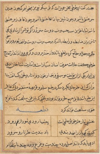 Page from Tales of a Parrot (Tuti-nama): text page