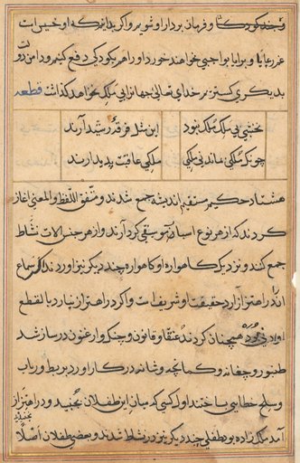 Page from Tales of a Parrot (Tuti-nama): text page