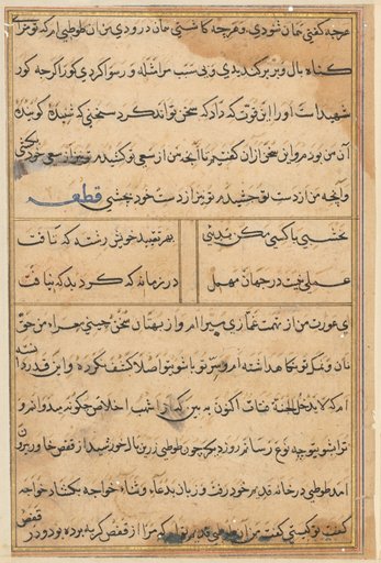 Page from Tales of a Parrot (Tuti-nama): text page