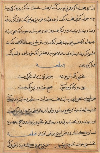 Page from Tales of a Parrot (Tuti-nama): text page