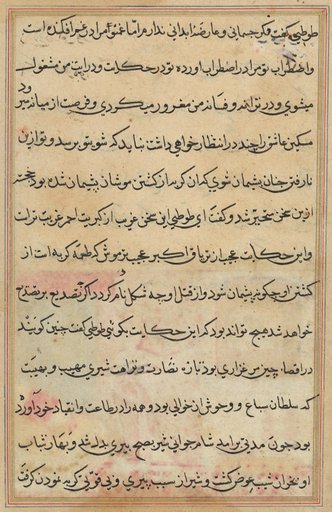 Page from Tales of a Parrot (Tuti-nama): text page