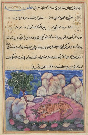 The lion disturbed by mice who eat the food trapped in his aging teeth, from a Tuti-nama (Tales of a Parrot): Fifteenth Night