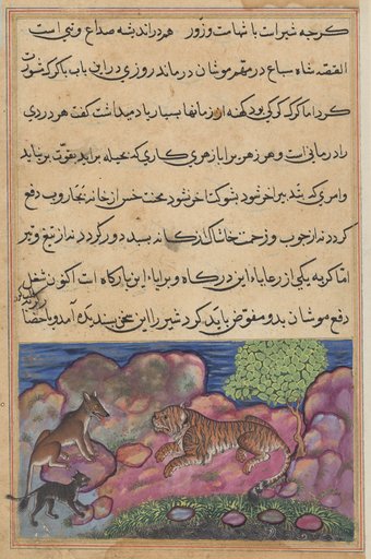 The wolf advises the lion to consult the cat, from a Tuti-nama (Tales of a Parrot): Fifteenth Night