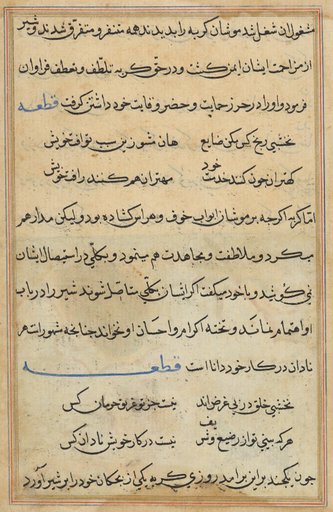 Page from Tales of a Parrot (Tuti-nama): text page