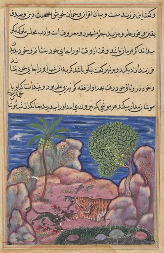 The cat attacks the mice which disturb the lion, from a Tuti-nama (Tales of a Parrot): Fifteenth Night