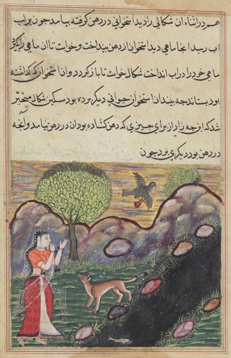 The daughter-in-law of the king of Banaras sees the jackal deprived of its food by a bird, as it unsuccessfully attempts to catch a fish, from a Tuti-nama (Tales of a Parrot): Sixteenth Night
