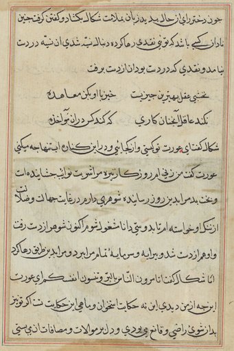 Page from Tales of a Parrot (Tuti-nama): text page