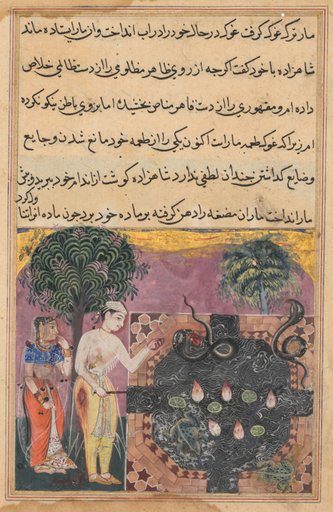 The prince, having deprived the snake of its natural food, a frog, feeds it with a piece of his own flesh, from a Tuti-nama (Tales of a Parrot): Eighteenth Night