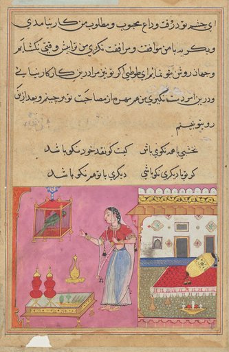 The Parrot Addresses Khujasta at the Beginning of the Twentieth Night, from a Tuti-nama (Tales of a Parrot)