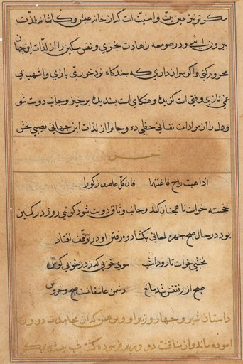 Page from Tales of a Parrot (Tuti-nama): text page