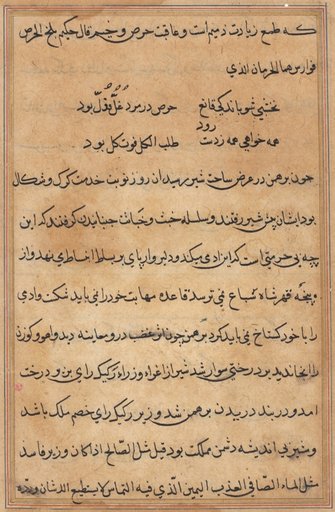 Page from Tales of a Parrot (Tuti-nama): text page