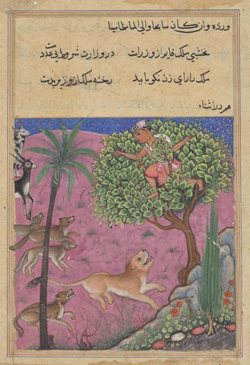 The wolf and the jackal, serving as viziers, instigate the lion who pursues the Brahman up a tree, from a Tuti-nama (Tales of a Parrot): Twenty-first Night