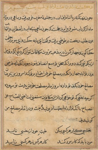 Page from Tales of a Parrot (Tuti-nama): text page