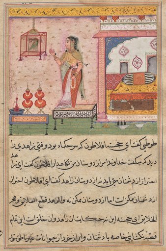 The Parrot Addresses Khujasta at the Beginning of the Twenty-third Night, from a Tuti-nama (Tales of a Parrot)