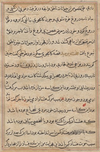 Page from Tales of a Parrot (Tuti-nama): text page