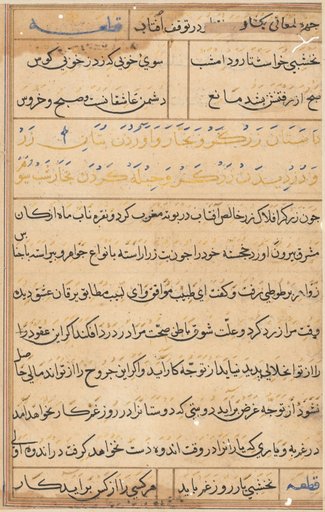 Page from Tales of a Parrot (Tuti-nama): text page