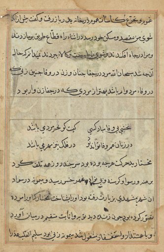 Page from Tales of a Parrot (Tuti-nama): text page