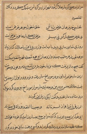 Page from Tales of a Parrot (Tuti-nama): text page