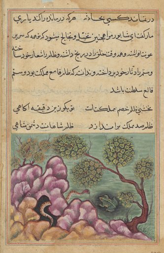 The dethroned frog Shapur seeks the help of the serpent, from a Tuti-nama (Tales of a Parrot): Twenth-sixth Night