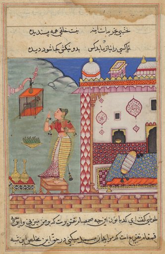 The Parrot Addresses Khujasta at the Beginning of the Twenty-seventh Night, form a Tuti-nama (Tales of a Parrot)