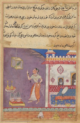 The Parrot Addresses Khujasta at the Beginning of the Twenty-ninth Night, from a Tuti-nama (Tales of a Parrot)