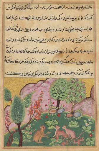 The monkey, serving as the lion’s chamberlain, converses with the lynx and its mate who have arrived with their cubs to settle in the lion’s domain, from a Tuti-nama (Tales of a Parrot): Twenty-ninth Night