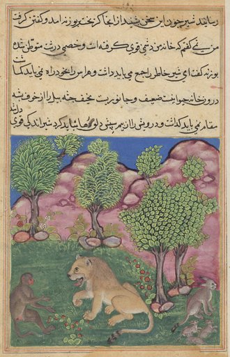 The monkey advises the suspicious lion to cast off fear and take possession of his territory, from a Tuti-nama (Tales of a Parrot): Twenty-ninth Night