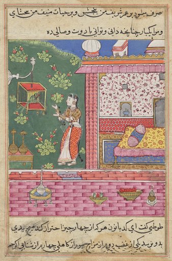 The Parrot Addresses Khujasta at the Beginning of the Thirtieth Night, from a Tuti-nama (Tales of a Parrot)