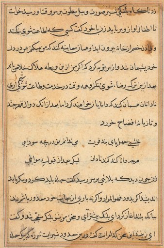 Page from Tales of a Parrot (Tuti-nama): text page
