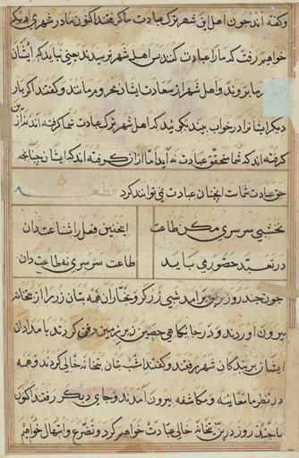 Page from Tales of a Parrot (Tuti-nama): text page