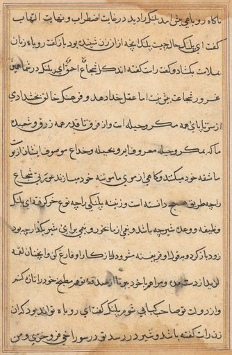 Page from Tales of a Parrot (Tuti-nama): text page