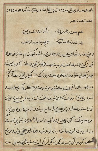 Page from Tales of a Parrot (Tuti-nama): text page