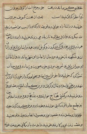 Page from Tales of a Parrot (Tuti-nama): text page