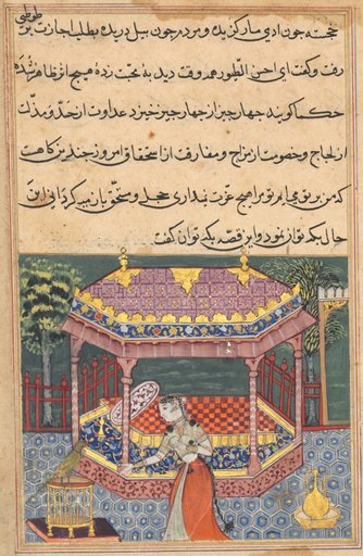 The parrot addresses Khujasta at the beginning of the thirty-seventh night, from a Tuti-nama (Tales of a Parrot)