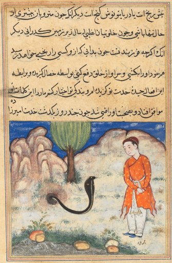The prince, a son of the ruler of Sistan, enters the service of a snake, from a Tuti-nama (Tales of a Parrot): Thirty-seventh Night