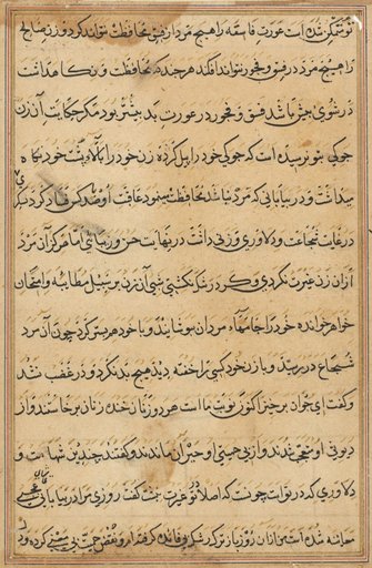 Page from Tales of a Parrot (Tuti-nama): text page