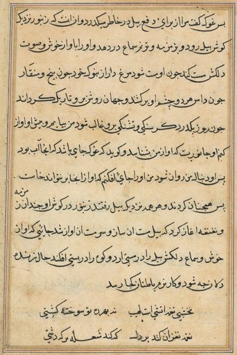 Page from Tales of a Parrot (Tuti-nama): text page