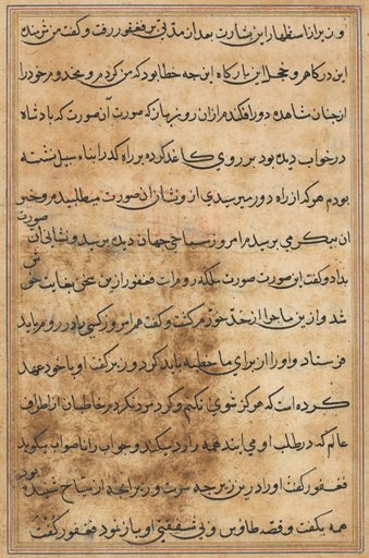 Page from Tales of a Parrot (Tuti-nama): text page