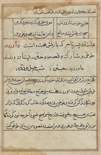 Page from Tales of a Parrot (Tuti-nama): text page