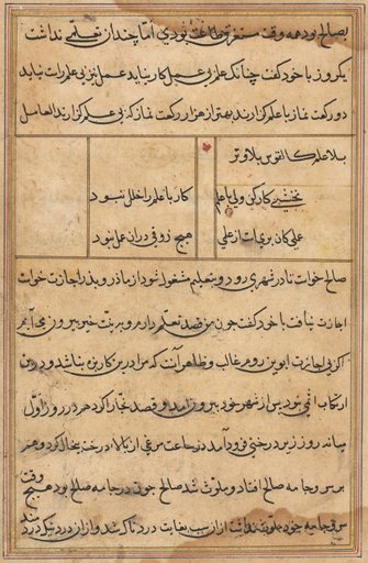 Page from Tales of a Parrot (Tuti-nama): text page