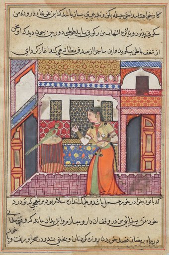 The parrot addresses Khujasta at the beginning of the forty-third night, from a Tuti-nama (Tales of a Parrot)