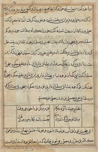 Page from Tales of a Parrot (Tuti-nama): text page