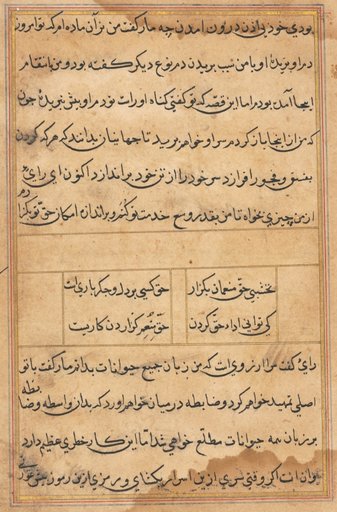Page from Tales of a Parrot (Tuti-nama): text page